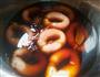 卤套肠的做法图解3