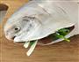 清蒸葱油白鲳鱼的做法图解3