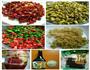 酸豆角炒肉末的做法图解2