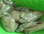 香酥鸡翅的做法图解5