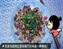 凉拌麻辣牛舌的做法图解4