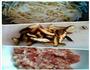 笋丝炒肉末的做法图解1