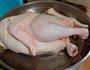 脆笋嫩子鸡的做法图解1