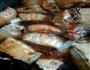 家常红烧带鱼的做法图解10