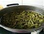 蒸黄豆的做法图解1