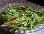 凉拌苦菊的做法图解4