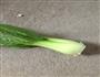 香菇青菜的做法图解4