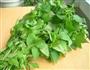 凉拌荆芥的做法图解1