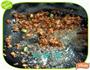 肉末黄豆雪里红的做法图解3