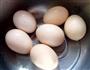 白煮蛋的做法图解1