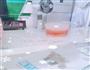 水蜜桃布丁的做法图解4