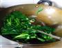 白灼菜芯的做法图解4