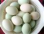 自制咸鸭蛋的做法图解2