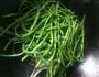 梅菜肉末长豆角的做法图解4