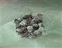 紫薯粉做仙草芋圆的做法图解3