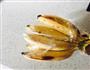 营养健康减肥早餐—香蕉燕麦米酒奶的做法图解1
