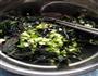凉拌紫背天葵的做法图解6