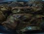 酱大骨的做法图解4