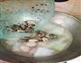 冬瓜花蛤汤的做法图解4