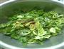 芫荽小辣椒的做法图解3