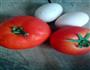 西红柿炒蛋的做法图解1