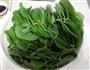 苏子叶咸菜的做法图解1