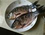 零失败红烧鲫鱼的做法图解1