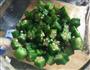 凉拌秋葵的做法图解8
