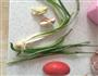 野生菌排骨火锅的做法图解1