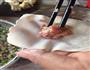 馄饨的做法图解7