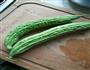 凉拌苦瓜的做法图解1