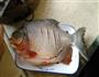 清蒸武昌鱼的做法图解4