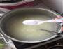 皮蛋瘦肉粥，简易版的做法图解7