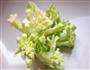 变废为宝的蔬菜梗-菜花梗的做法图解1