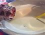 香蕉香草冰淇淋的做法图解11