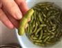 必备下酒菜糟毛豆的做法图解2