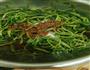凉拌苕尖的做法图解3