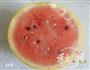 纯西瓜汁的做法图解1