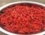 辣椒酱的做法图解2