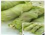 生菜卷的做法图解3