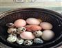 啤酒卤蛋的做法图解1