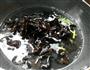 爽口木耳的做法图解2