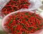 自制辣椒酱的做法图解1