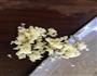 清蒸蒜香粉丝排骨的做法图解1