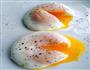 水波蛋的做法图解8