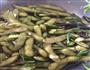 凉拌毛豆的做法图解1