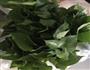 家常小菜-炒番薯叶的做法图解1