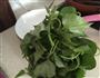 家常小菜-炒番薯叶的做法图解2