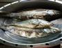 超下饭的蒸鱼的做法图解4