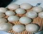 自制豆沙  豆沙包的做法图解9